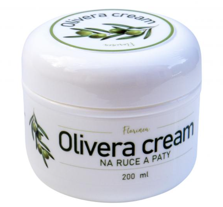 Snímek obrazovky 2026-01-09 170427